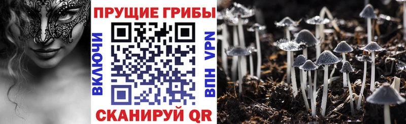 omg онион  Туймазы  Псилоцибиновые грибы Magic Shrooms 